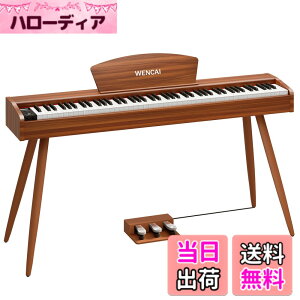 �y���������zWENCAI �d�q�s�A�m 88���� �n���}�[�A�N�b�V�������� �ؐ��f�U�C�� ���S�� �q�� ���K�s�A�m MIDI�[�q�Ή� 3�{�y�_�� �X�^���h �A�_�v�^�[�t ���{������� �F�F�I�����W�A�T�C�Y�F