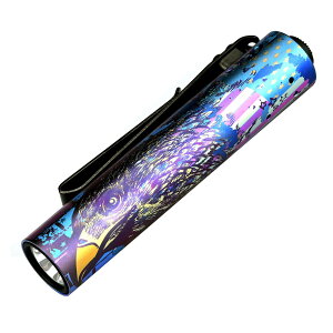 【送料無料】ACEBEAM Rider RX 2.0 懐中電灯 LED 小型 軽量 強力 明るさ最大1000ルーメン フラッシュライト 単三対応 IP68防水 日常の持ち運び、アウトドア、登山、地震災害などに適しています