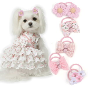 yzBIANHUAN  wAS { S 10Zbg wAANZT[ o| ybg  Lp [NV[eA V[Y[ |jA ~j`AViEU[}^ wA{E