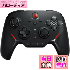 【送料無料】BIGBIG WON コントローラー