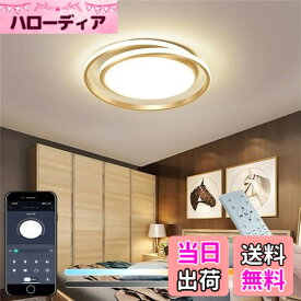 【送料無料】KOVOL 315LED シーリングライト