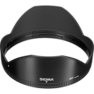 yzVO}(Sigma) SIGMA Yt[h LH873-01