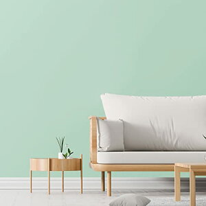 yzVEELIKE ǎV[ ~gO[ CNV[g n  ͂ǎNX EH[XebJ[ JbeBOV[g J[V[g  40cmx3m   ӂ܎