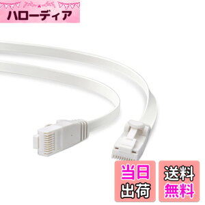 �y���������z�G���R�� LAN�P�[�u�� Cat6A / �X�^�C����/�z���C�g �F�F�z���C�g�A�T�C�Y�F2m