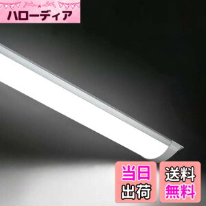 �y���������zLED�u���� ���ǌu���� 120cm �����F�i6500K�j ���P�x PL�ی� 2�N �ƒ�A�������A�a�@�A�w�Z�ɓK�p �F�F60W�A�T�C�Y�F4�{