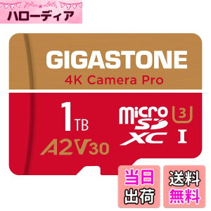 �y���������zGIGASTONE �}�C�N��sd�J�[�h 1TB-4-1 Core Group �F�F1TB Camera Pro 1���Z�b�g�A�T�C�Y�FPro Series