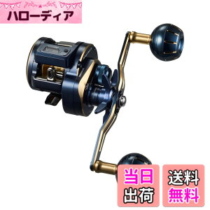 �y���������z�_�C��(DAIWA) �J�E���^�[�t���I�t�V���A�x�C�g���[�� SALTIGA(�\���e�B�K)IC 100~300�� �V���O���n���h��/�_�u���n���h�� �e��(2021-2023���f��) �F�F�s���A�T�C�Y�F300L-DH