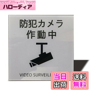 �y���������zSeagron �T�C���v���[�g ���ʃe�[�v�t�� 2mm�A�N������ ������� �F�F�h�ƃJ�����쓮���i�C���X�g�^�j?�O���[�A�T�C�Y�F80x80mm�i�X�e�b�J�[�j