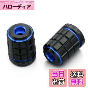 �y���������z�f�C�g�i(Daytona) PREMIUM ZONE(�v���~�A���]�[��) �o�C�N�p �o�[�G���h TECHNO/BRICK/KIRIKO/�X�N���b�` �F�F�u���[�A�T�C�Y�F�z���_(M6)