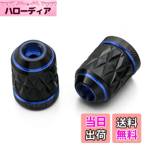 �y���������z�f�C�g�i(Daytona) PREMIUM ZONE(�v���~�A���]�[��) �o�C�N�p �o�[�G���h TECHNO/BRICK/KIRIKO/�X�N���b�` �F�F�u���[�A�T�C�Y�F���}�n(M6)