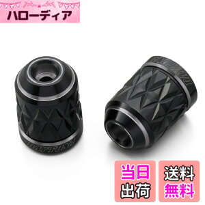 �y���������z�f�C�g�i(Daytona) PREMIUM ZONE(�v���~�A���]�[��) �o�C�N�p �o�[�G���h TECHNO/BRICK/KIRIKO/�X�N���b�` �F�F�A�b�V���V���o�[�A�T�C�Y�F�z���_(M6)