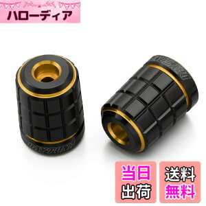 �y���������z�f�C�g�i(Daytona) PREMIUM ZONE(�v���~�A���]�[��) �o�C�N�p �o�[�G���h TECHNO/BRICK/KIRIKO/�X�N���b�` �F�F�S�[���h�A�T�C�Y�F�z���_(M6)