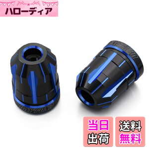 �y���������z�f�C�g�i(Daytona) PREMIUM ZONE(�v���~�A���]�[��) �o�C�N�p �o�[�G���h TECHNO/BRICK/KIRIKO/�X�N���b�` �F�F�u���[�A�T�C�Y�F�z���_(M6)