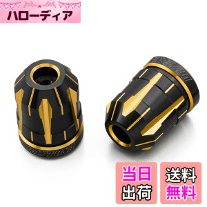 �y���������z�f�C�g�i(Daytona) PREMIUM ZONE(�v���~�A���]�[��) �o�C�N�p �o�[�G���h TECHNO/BRICK/KIRIKO/�X�N���b�` �F�F�S�[���h�A�T�C�Y�F�z���_(M6)