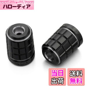 �y���������z�f�C�g�i(Daytona) PREMIUM ZONE(�v���~�A���]�[��) �o�C�N�p �o�[�G���h TECHNO/BRICK/KIRIKO/�X�N���b�` �F�F�A�b�V���V���o�[�A�T�C�Y�F���}�n(M6)