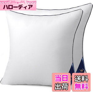 �y���������zBelinna �N�b�V���� �֎q�N�b�V���� �w������N�b�V���� �\�t�@�[�N�b�V���� �F�F�z���C�g�A�T�C�Y�F55cm*55cm�i2�j