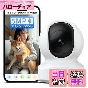 �y���������zWansview �F�F5MP���E�펞�^��A�T�C�Y�FA.�����J����