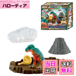 �y���������z�p�C���b�g�R�[�|���[�V����(PILOT CORPORATION) ��������Oh �F�F2) �܂ق��̃e�B���m�T�E���X ���Ƀo�g���t�B�[���h�Z�b�g