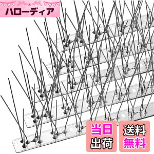 �y���������zOFFO ���悯 100%�X�e�����X �T�C�Y�F4102cm