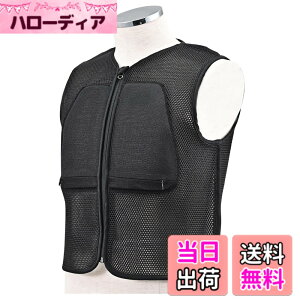 �y���������z�f�C�g�i(Daytona) SAS-TEC(�T�X�e�b�N) �o�C�N�p �v���e�N�^�[ �C���i�[ �x�X�g���C���i�[�E�F�A �����Y �F�F���b�V���A�T�C�Y�FS