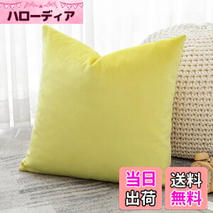 �y���������zOtostar �N�b�V�����J�o�[ 45x45cm 1�� ���n ������� ���� �x���x�b�g ���_�� �W�b�p�[�� �C���e���A ���������p �����p�s���[�J�o�[ �F�F�������C�G���[�A�T�C�Y�F45cmx45cm(1 ���g