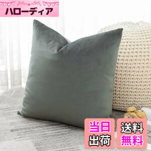 �y���������zOtostar �N�b�V�����J�o�[ 45x45cm 1�� ���n ������� ���� �x���x�b�g ���_�� �W�b�p�[�� �C���e���A ���������p �����p�s���[�J�o�[ �F�F�_�[�N�O���[�A�T�C�Y�F45cmx45cm(1 ���g)