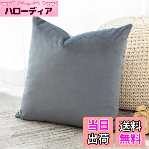 �y���������zOtostar �N�b�V�����J�o�[ 45x45cm 1�� ���n ������� ���� �x���x�b�g ���_�� �W�b�p�[�� �C���e���A ���������p �����p�s���[�J�o�[ �F�F�O���[�A�T�C�Y�F45cmx45cm(1 ���g)