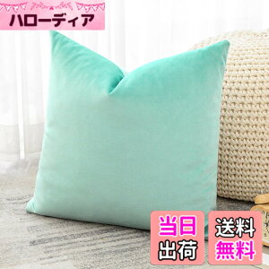 �y���������zOtostar �N�b�V�����J�o�[ 45x45cm 1�� ���n ������� ���� �x���x�b�g ���_�� �W�b�p�[�� �C���e���A ���������p �����p�s���[�J�o�[ �F�F�A�N�A�O���[���A�T�C�Y�F45cmx45cm(1 ���g