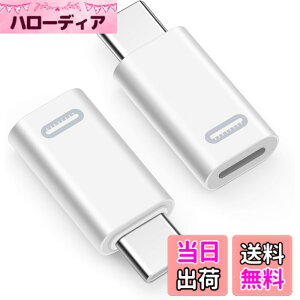 �y���������zleizhan ���C�g�j���O���X-USB-C�I�X�ϊ��A�_�v�^�i2�s�[�X�j�AType-C���C�g�j���OiPhone�f�[�^�]���A�_�v�^�A�X�g�����O�t���A�I�[�f�B�I/OTG�p�ł͂Ȃ� - �O���[ �F�F�z���C�g�A�T