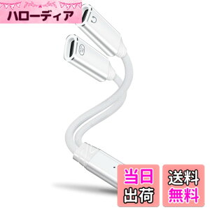 �y���������zleizhan 2-in-1 USB-C �w�b�h�z��/�[�d�A�_�v�^�[�AType-C 1����2�o�� �}���[�d + �I�[�f�B�I �f�[�^�]�� �F�F�z���C�g�A�T�C�Y�F100W 2USB-C