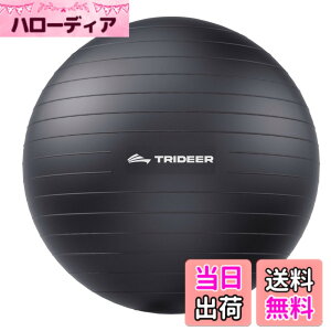 �y���������zTrideer �{�[���`�F�A ���K�{�[���`�F�A �G�N�T�T�C�Y�{�[���`�F�A �x�[�X�t�� �z�[���I�t�B�X�f�X�N�p ����{�[��&�o�����X�{�[���V�[�g ���Ɋɘa �z�[���W�� ���[�N�A�E�g�{