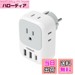 �y���������z�ϊ��v���O �C�O���s�p c/bf/se/o�^�C�v USB�t�����s �֗��O�b�Y �F�F�O���[�A�T�C�Y�F2USB-A+USB-C