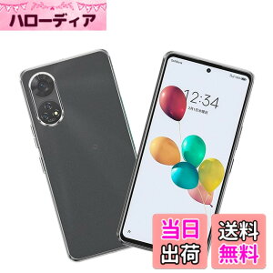 �y���������z2+2�ی�t�B���� �F�F�����A�T�C�Y�FA303ZT �p��