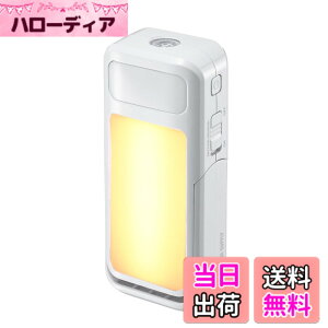 �y���������z�T�����_�C���N�g �l���Z���T�[���C�g ���� �R���Z���g ��d�������_�����C�g ��铔 �����d�� ��퓔 800-LED018_043_084 �F�F�����F/�d���F