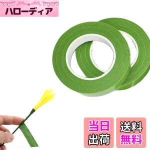 �y���������zDEVENTORZ ���ԃZ�b�g �t�����[���C���[ �� ���� ���p�e�[�v �ԉ� �ԑ� �s�����p DIY ��|�ޗ� �A�N�Z�T���[ �F�F�O���[��