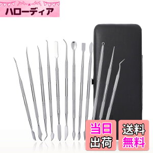 �y���������zaurochs �X�p�`���� �F�F�V���o�[