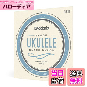 �y���������zD'Addario �_�_���I �E�N������ Pro-Art Rectified Black Nylon EJ53 �y�������K�i�z �T�C�Y�FTenor