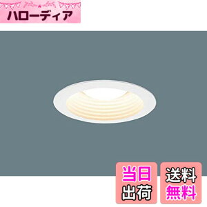 �y���������z�p�i�\�j�b�N(Panasonic)�V�䖄���^ ��125 �_�E�����C�gNNN61523W [LED�d���ʔ��� �����T�C�YE26]