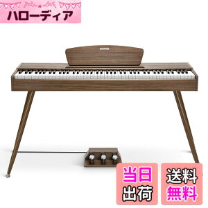 �y���������zDonner �d�q�s�A�m 88���� DDP-80 �F�F�E�H�[���i�b�g�A�T�C�Y�FDDP-80