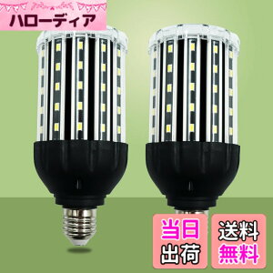 �y���������zlow watt led light bulbs �F�F25W WW BLACK DOUBLE