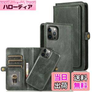 �y���������zfor iPhone 15 Many Card Slots 2in1 Detachable Wallet Case �F�F�O���[���A�T�C�Y�FiPhone 15 Pro Max