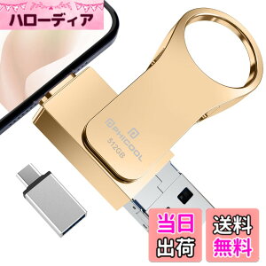 �y���������zUSB������ �F�F�S�[���h�A�T�C�Y�F512GB