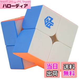 �y���������zBucubke GAN 251 M Pro 2x2 �X�e�b�J�[���X���C�X�s�[�h�}�W�b�N�L���[�u GAN251 Pro 2x2x2 ���Z�p63�}�O�l�b�g �p�Y���L���[�u��������i������������F�j �F�FGAN 251 M Air