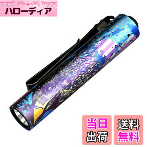 �y���������zACEBEAM Rider RX 2.0 �����d�� LED ���^ �y�� ���� ���邳�ő�1000���[���� �t���b�V�����C�g �P�O�Ή� IP68�h�� ����̎����^�сA�A�E�g�h�A�A�o�R�A�n�k�ЊQ�ȂǂɓK���Ă��܂� �F�F