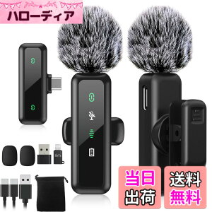 �y���������z�yBILIWAL 2024�V�o��z �s���}�C�N ���C�����X iPhone/iPad/PC�Ή� �T�C�Y�FType-C ��M�@ + ���M�@ x 2
