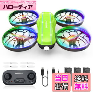 �y���������z�h���[�� 100g���� Holyton �q������ D33 �F�F�΁i�J�����Ȃ��j