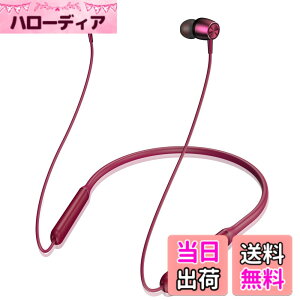 �y���������zH39�l�b�N�o���h�C���z�� �F�F05��