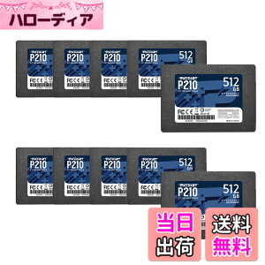 �y���������zPatriot P210 Parent Solid State Drive SSD �F�F�u���b�N�A�T�C�Y�F512GB 10 Pack