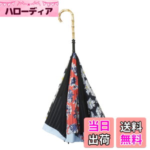 �y���������zCARRY saKASA (�L�����[�T�J�T) Advance Style (�A�h�o���X�X�^�C��) �G��Ȃ��P �t�܂莮�P �t���P �f�U�C�� ������� ���� �F�F���_���f�C�W�[�E�u���[�A�T�C�Y�F���a100cm