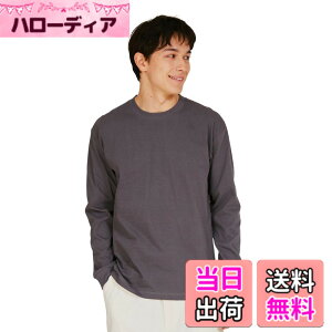 �y���������zHanes �r�[�t�B�[ �����O�X���[�u T�V���c ����T ���� 1���g Beefy-T ��100% �������n ���nH5186�����Y �F�F�_�[�N�O���[�A�T�C�Y�FXL